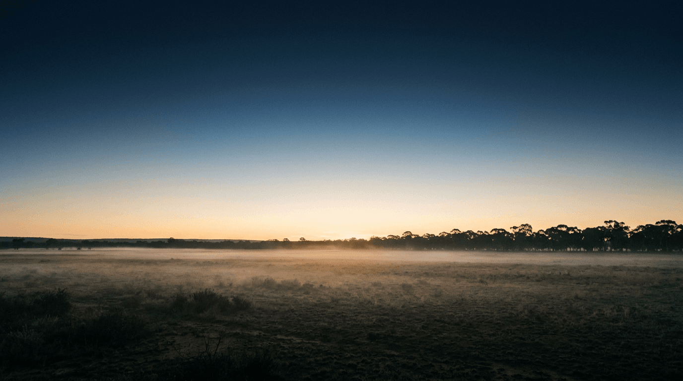Warm sunrise over open land with soft mist